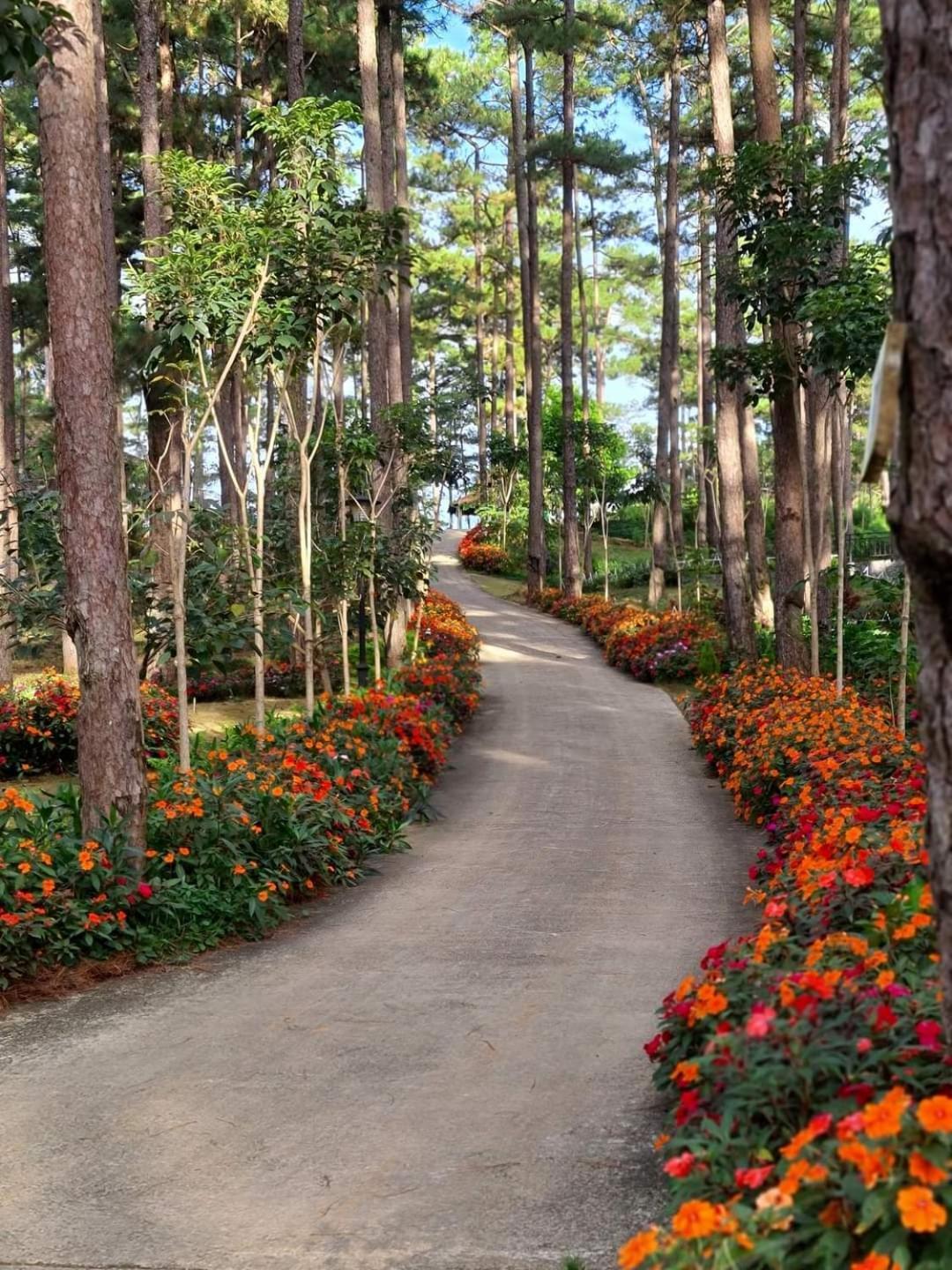Dahlia Dalat Aparthotel Bagian luar foto