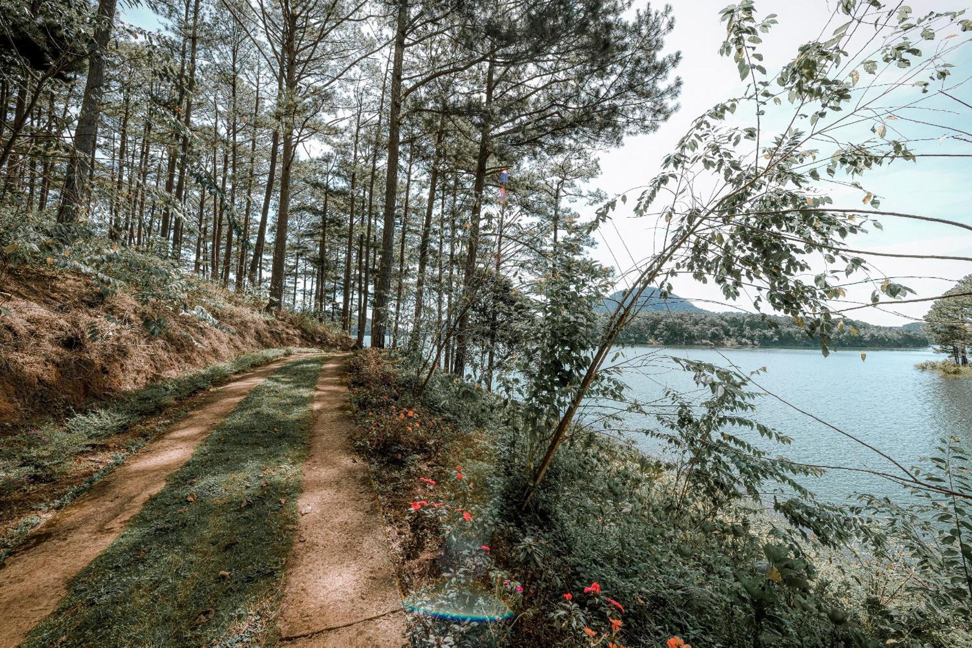 Dahlia Dalat Aparthotel Bagian luar foto