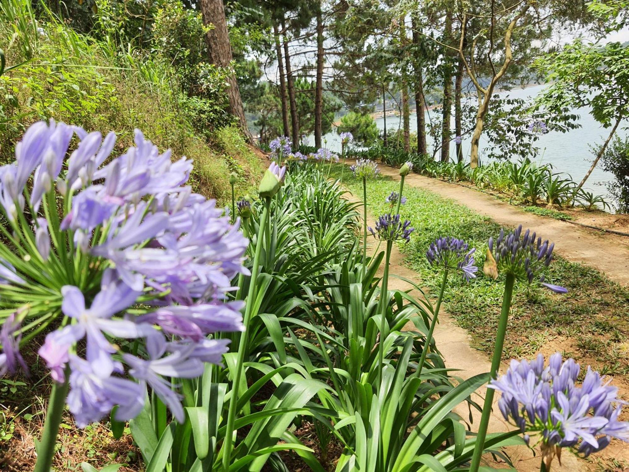Dahlia Dalat Aparthotel Bagian luar foto