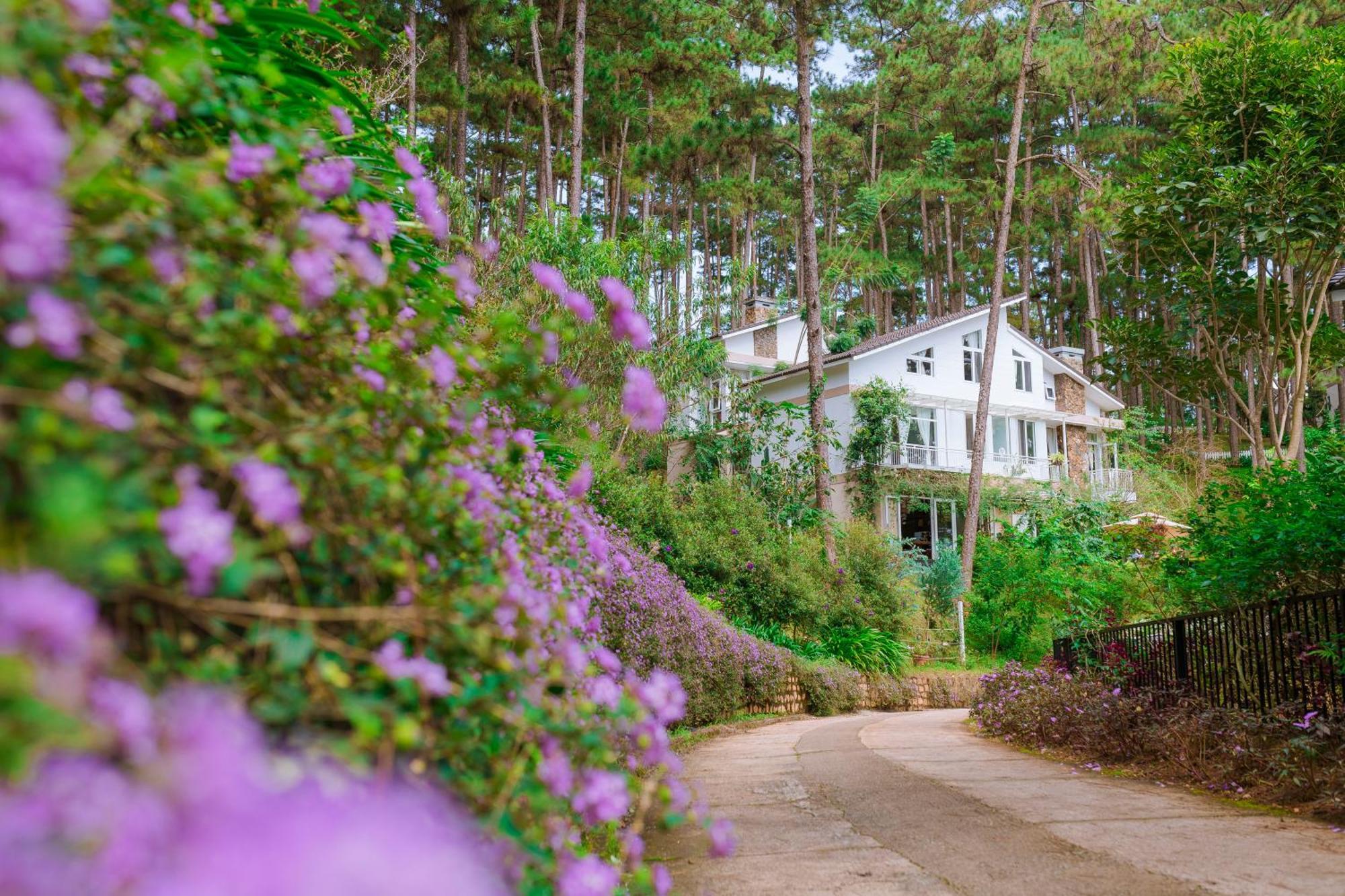 Dahlia Dalat Aparthotel Bagian luar foto